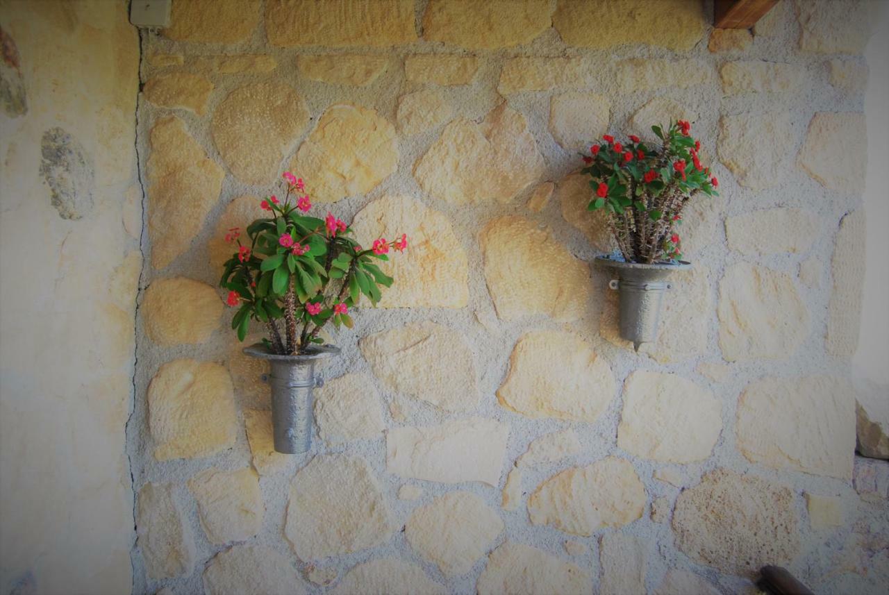Olive Villas Kría Vrísi Dış mekan fotoğraf