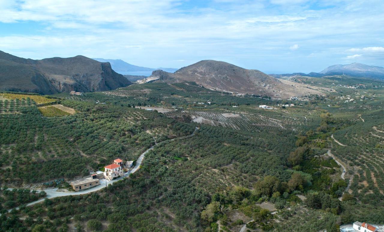 Olive Villas Kría Vrísi Dış mekan fotoğraf